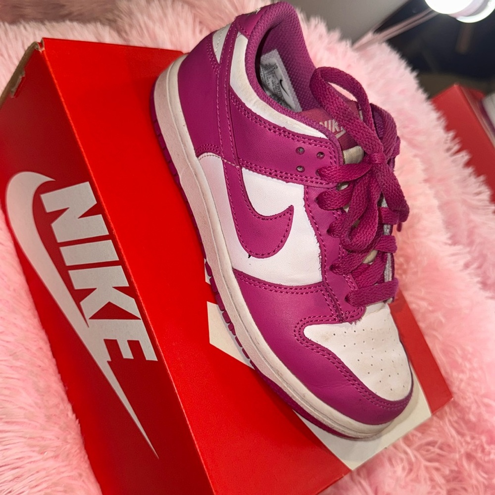 Nike’s dunk  low for kids
